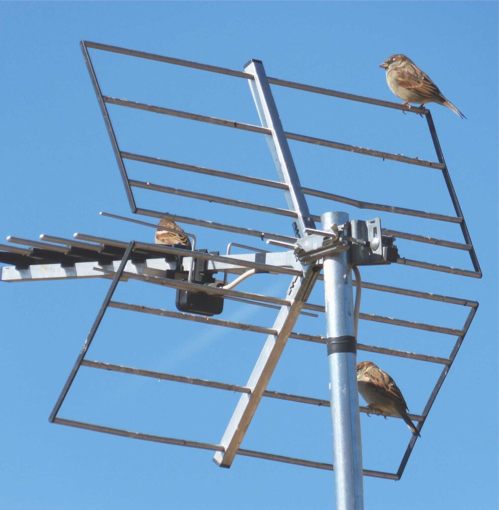 antena