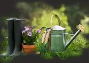 foto de una regadera y útiles para jardinería
